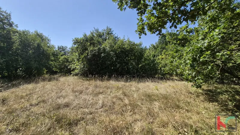 Telek Vodnjan – 3