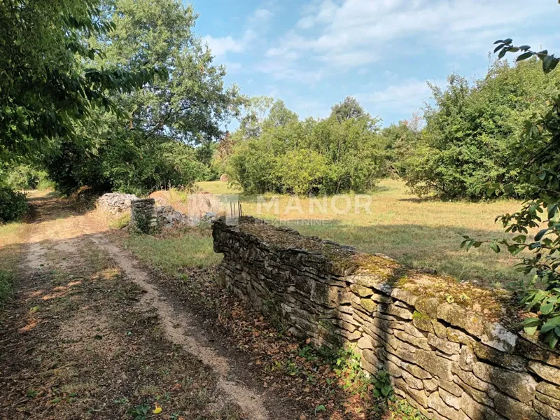 ISTRA, ŽMINJ - 50.000 m2 dijelom urbaniziranog poljoprivrednog zemljišta sa maslinama, orasima u mirnom istarskom okruženju!