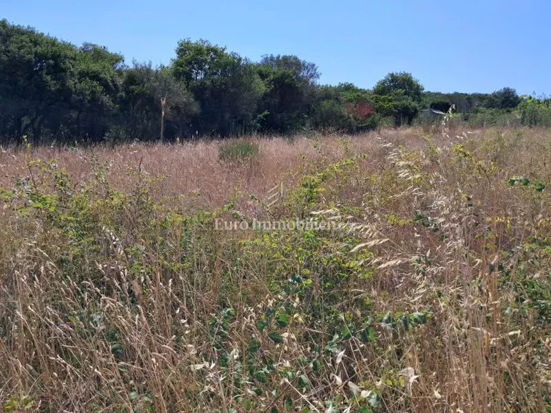 605 m² Agricultural Land with Water – Near Pula – 2