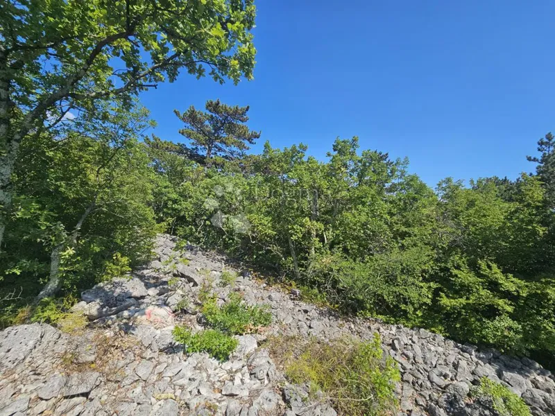 Mezőgazdasági terület Crikvenica, 829m2