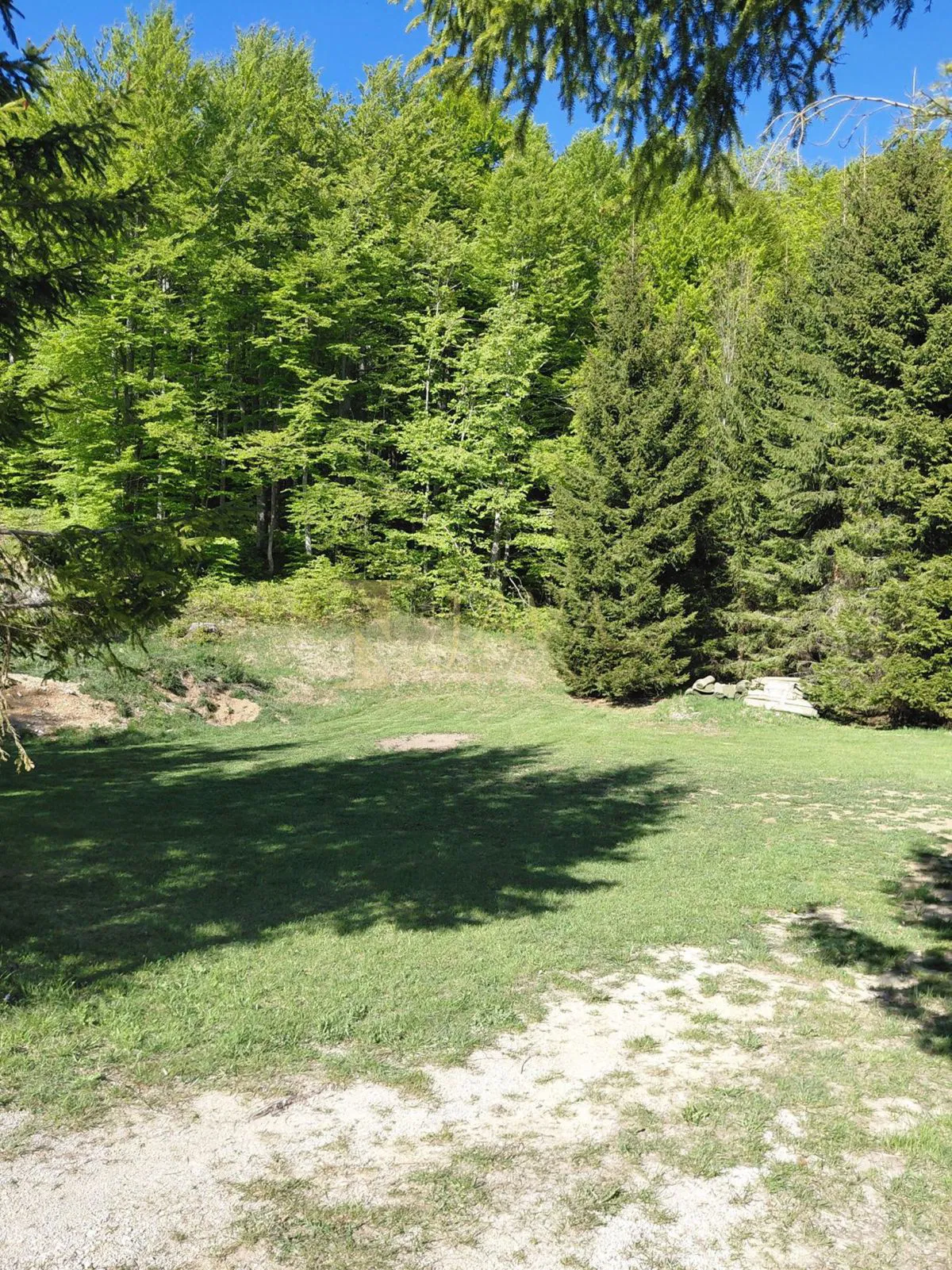 Mrzla Vodica, Lepenice 1875 m2