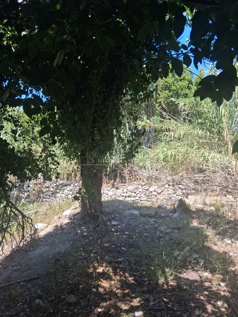 Male Srakane, pokraj otoka Lošinja - Ruševina, 58 m2