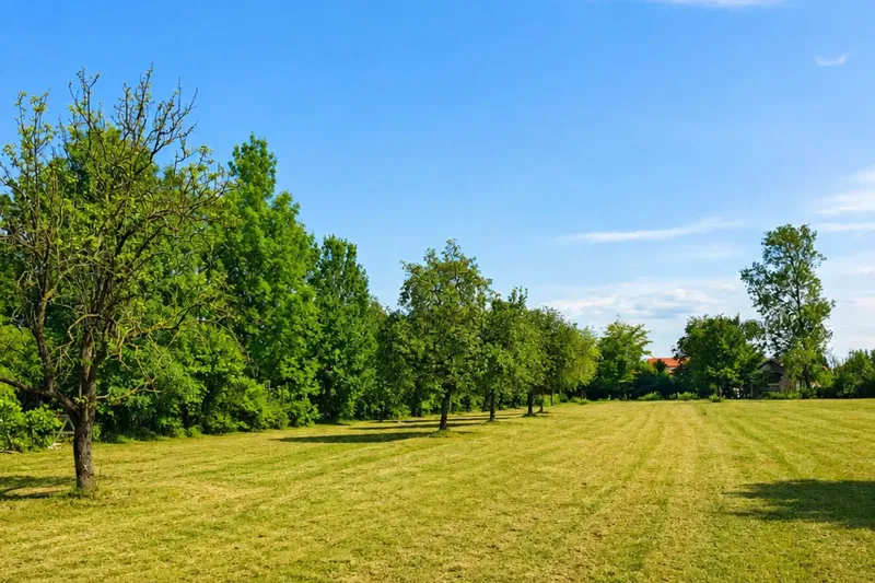 Building land – 3