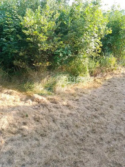 Pozemek Buzet, 1.441m2