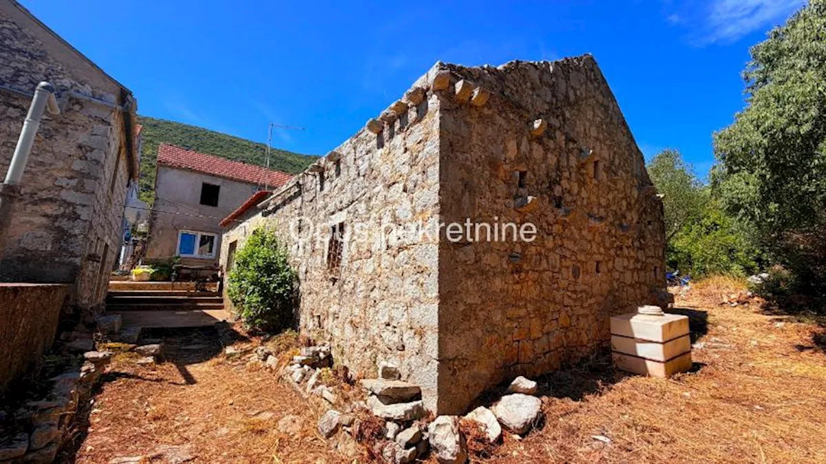 OSOBJAVA – kamene kuce za renovaciju (Video)