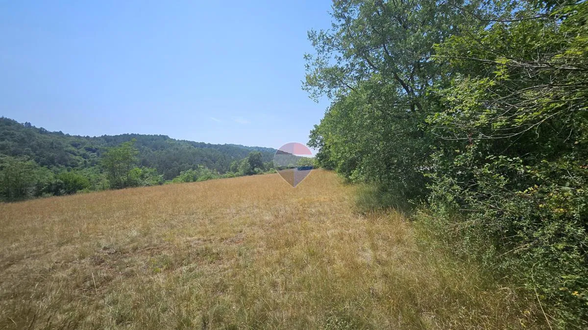 Bauland Grožnjan, 561m2
