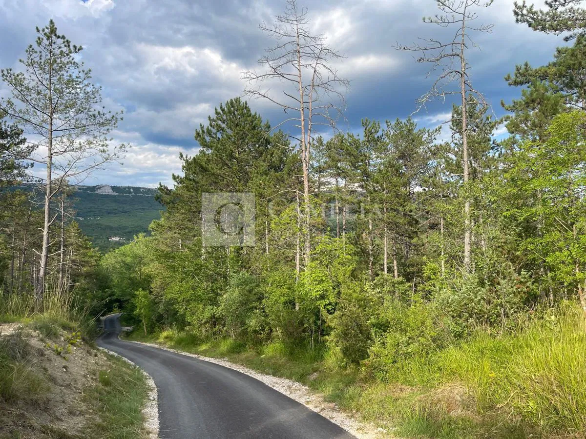 Istra Buzet okolica atraktivno građevinsko zemljište!