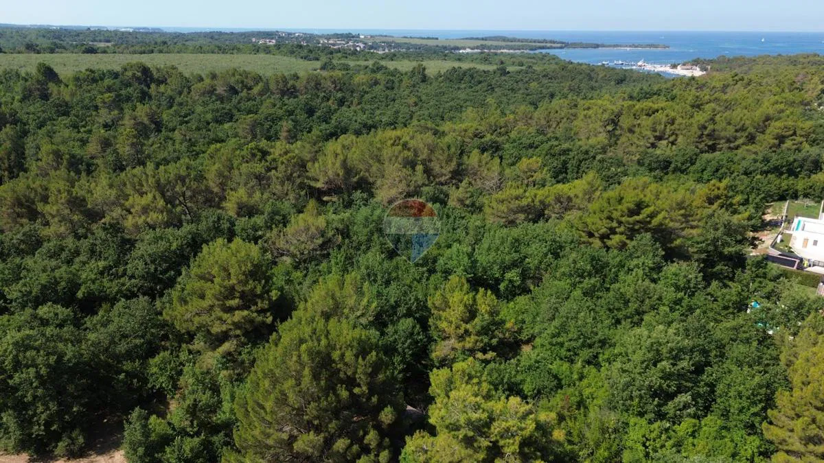 Istra, Vabriga, građevinsko zemljište u blizini mora