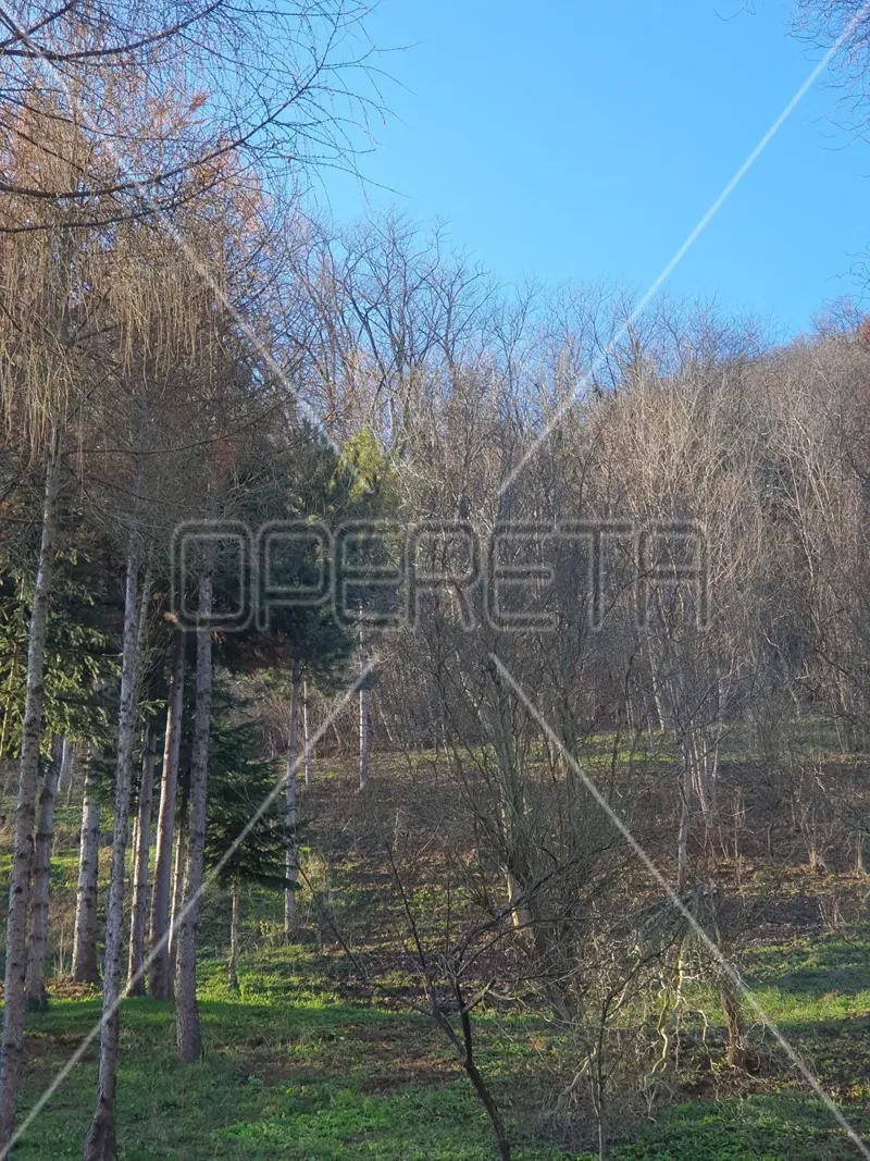 BUILDING LAND 2,549m2, GAJNICE, DUBRAVICA STREET – 2