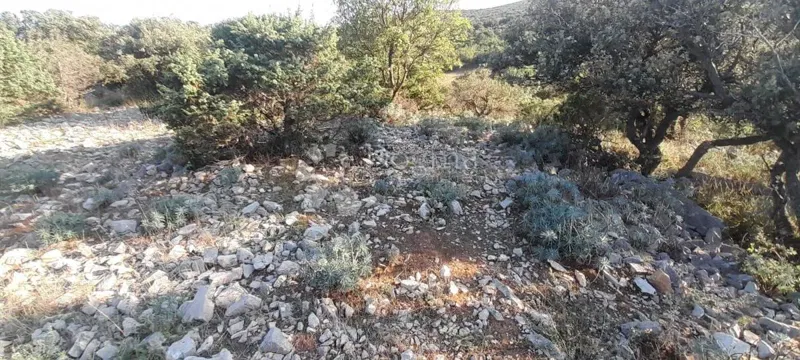 Cres, Belej poljoprivredno zemljište s pogledom na more