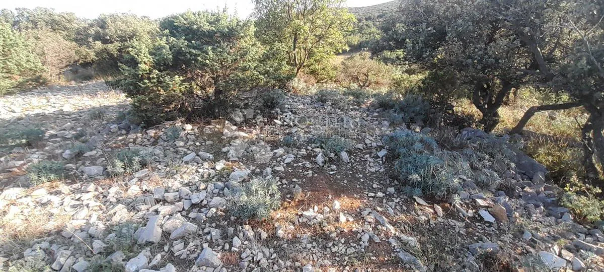Cres, Belej poljoprivredno zemljište s pogledom na more