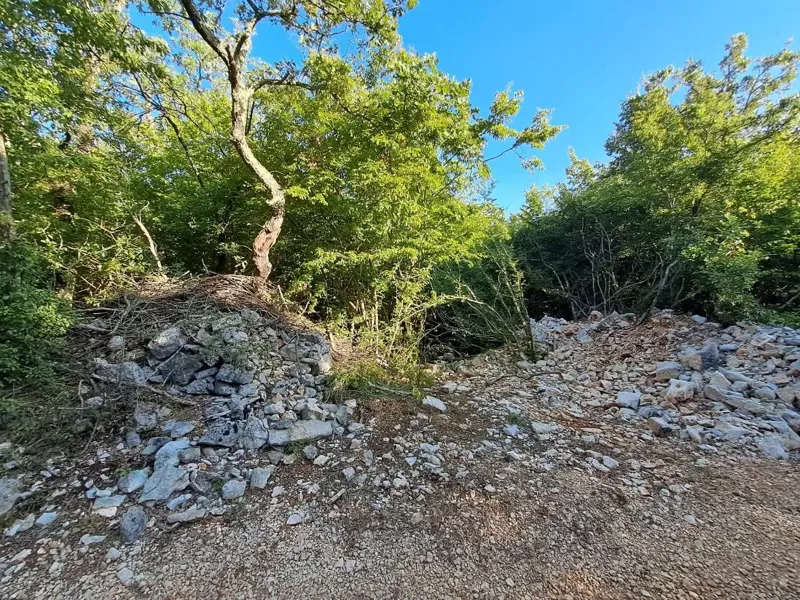 ROVINJ,POLJOPRIVREDNO ZEMLJIŠTE 11.024 m², 3,5 KM OD PLAŽE, PRILIKA!