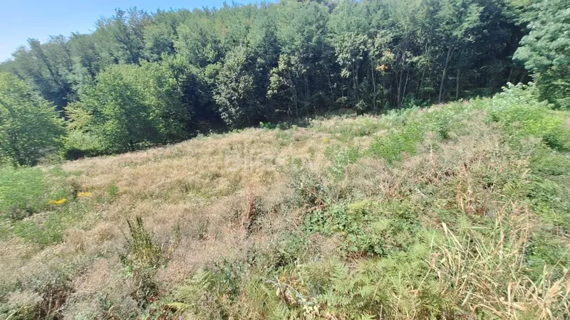 Terreno Zagreb – 2