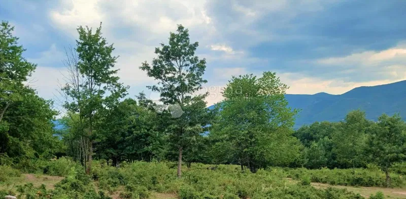 Terreno agricolo Dnopolje, Donji Lapac, 42.489m2 – 3