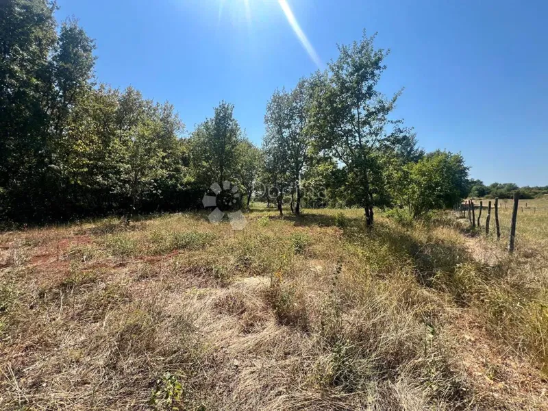 Building land Kosinožići, Poreč, 1.156m2 – 2
