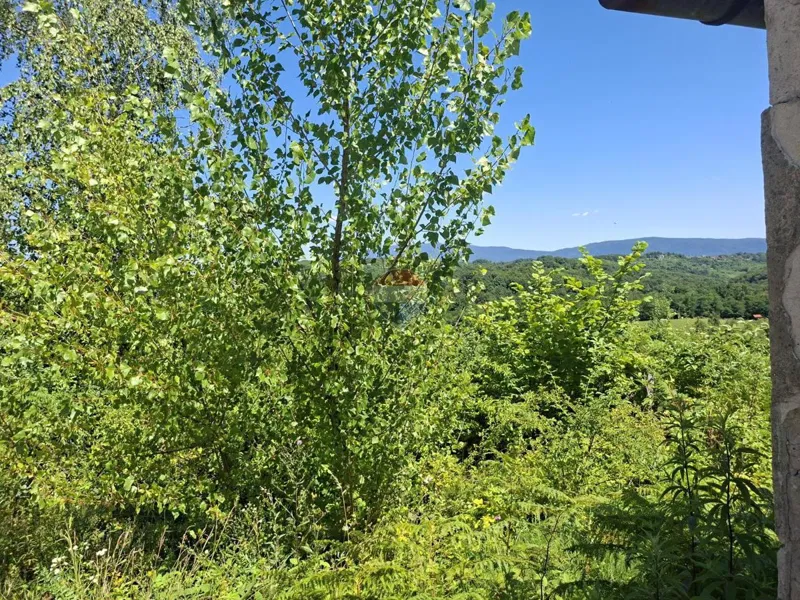 Telek Hrastina – 3