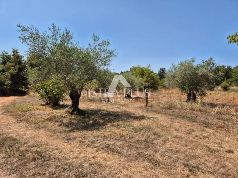 Einmalige Gelegenheit! Baugrundstück in Poreč, nur 300 m vom Meer entfernt – in einer der besten Lagen von Poreč!!!