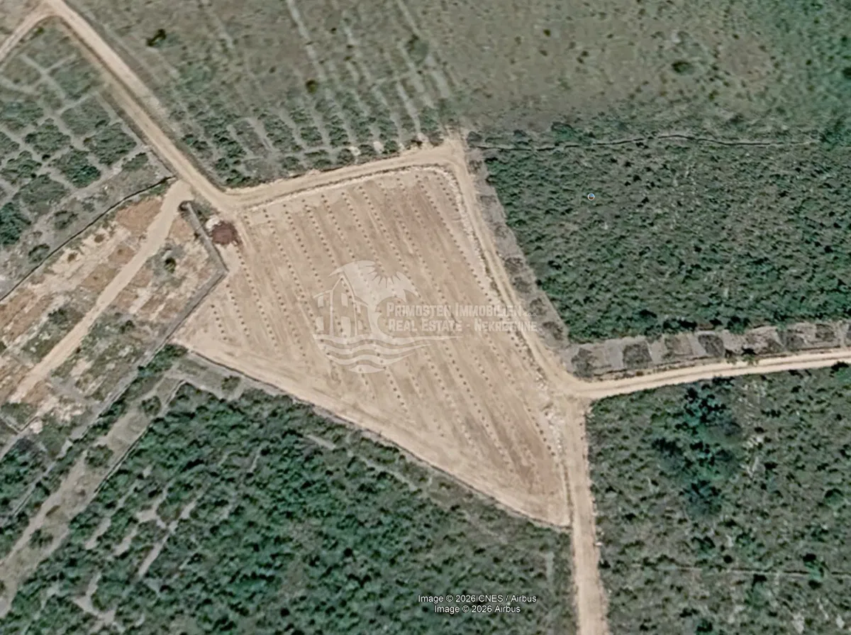 Primošten/Maslinik s oko 500 maslina – 4.000 m² mediteranskog ugođaja