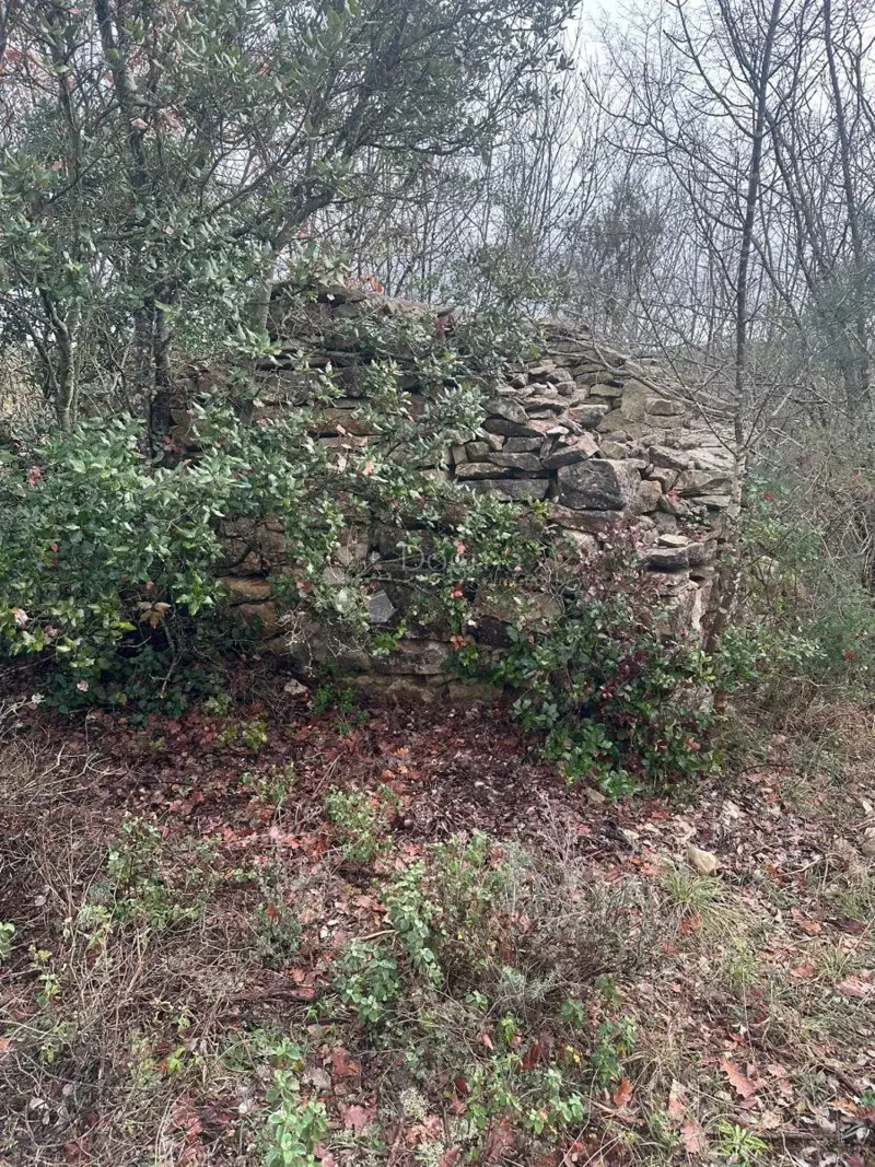 Ziemia rolna Krnica, Marčana, 20.000m2 – 3