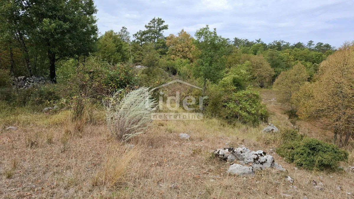 Pôda Breza, Klana, 11.797m2