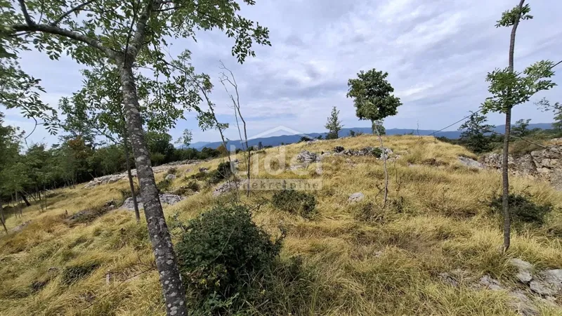 Działk Breza, Klana, 2.536m2