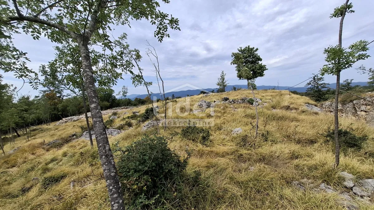 Pôda Breza, Klana, 2.536m2