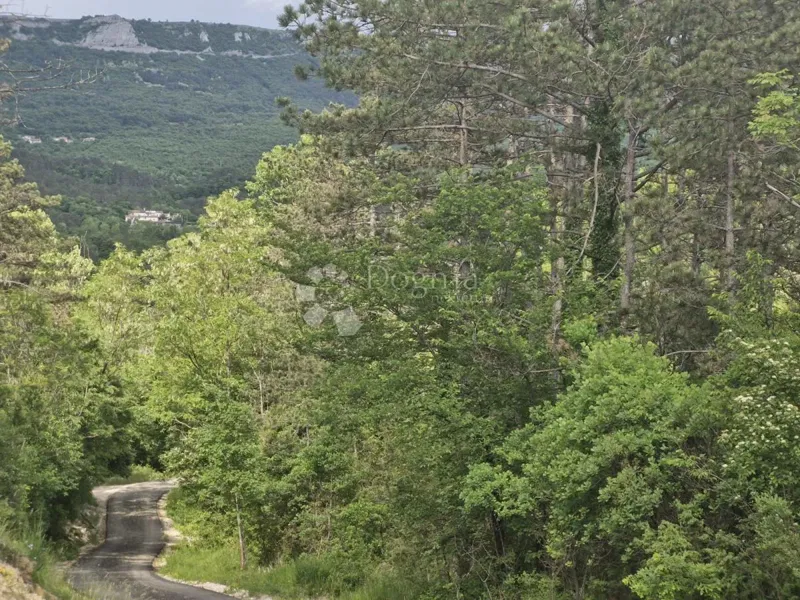 Bauland Buzet, Podrečak, 1.393m2