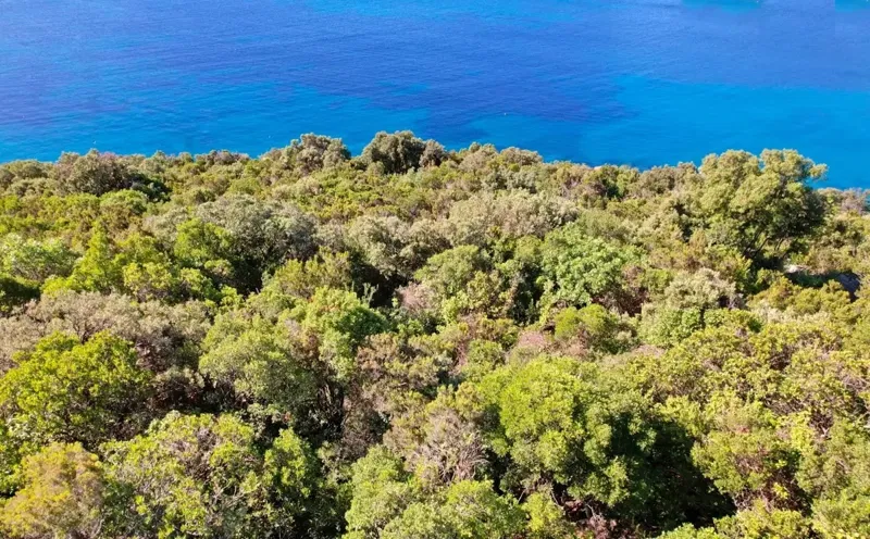 atraktivno-gradevinsko-zemljiste-uz-more-prekrasan-pogled-na-otvoreno-more-raj-na-zemlji-dubrovnik-okolica
