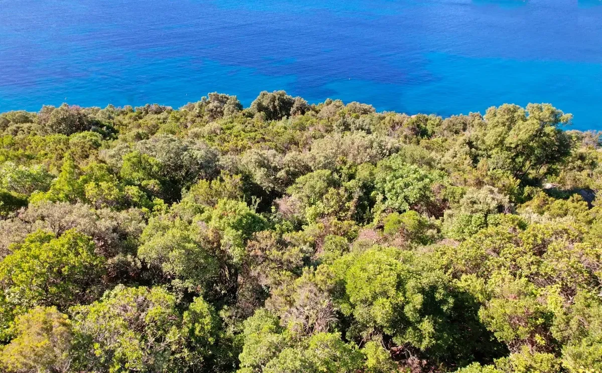 atraktivno-gradevinsko-zemljiste-uz-more-prekrasan-pogled-na-otvoreno-more-raj-na-zemlji-dubrovnik-okolica