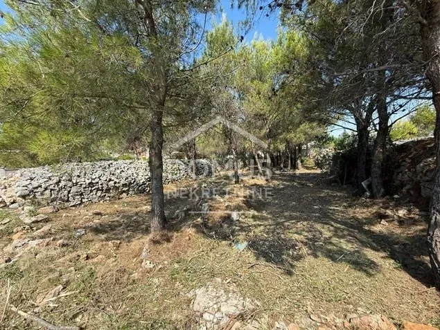 Telek Srima – 3