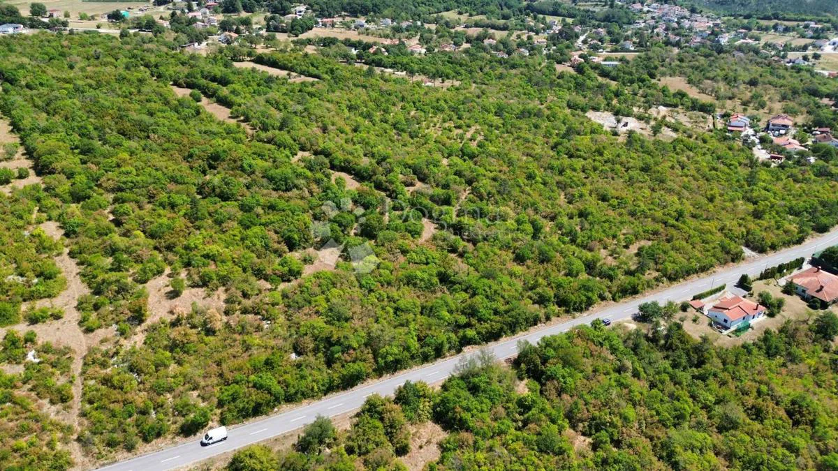Bauland Buzet, 10.800m2