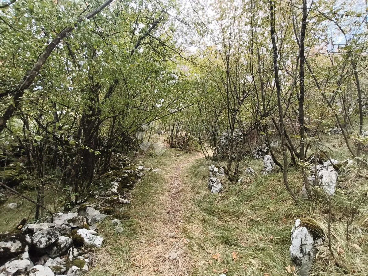 Mezőgazdasági terület Marčelji, Viškovo, 3.565m2