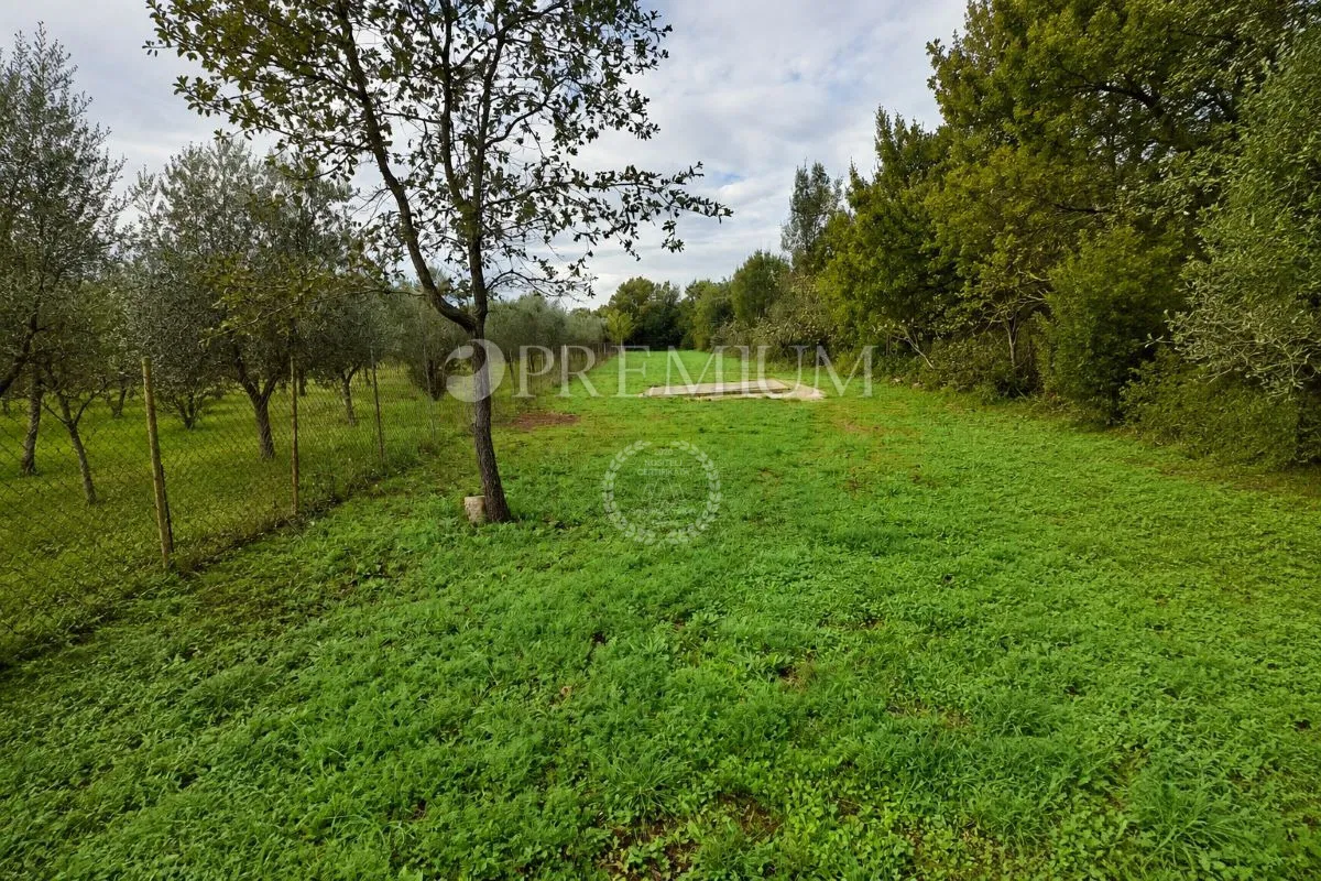 Isola di Krk, terreno agricolo a 1 km dal mare!