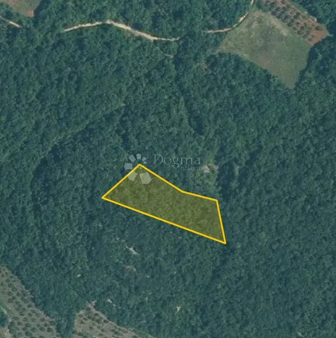 Mezőgazdasági terület - olajfaliget 17 160 m²