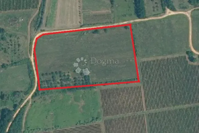 Mezőgazdasági terület - olajfaliget 17 160 m²