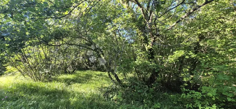 Terreno edificabile Orbanići, Marčana, 1.302m2 – 3