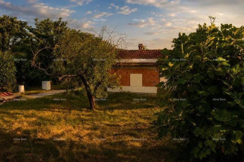 Dom Poreč – 3