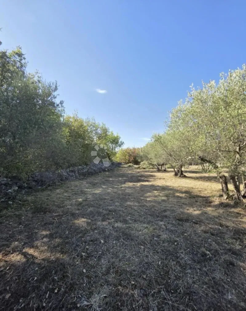 Terreno agricolo Linardići, Krk, 2.238m2 – 2