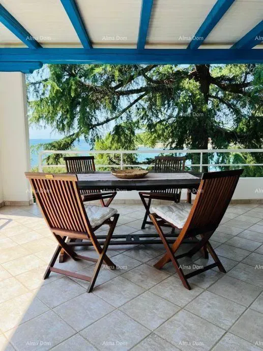 UMAG – FURNISHED APARTMENT 90 m², 30 m FROM THE SEA, WITH GARDEN AND SEA VIEW – 2