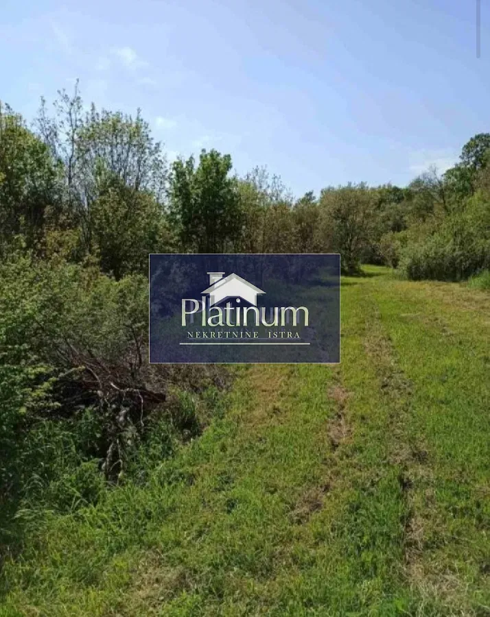 Land Pavićini – 2