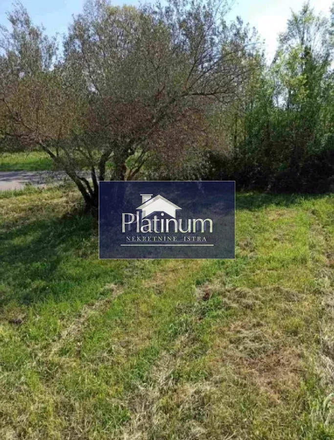 Land Pavićini – 3