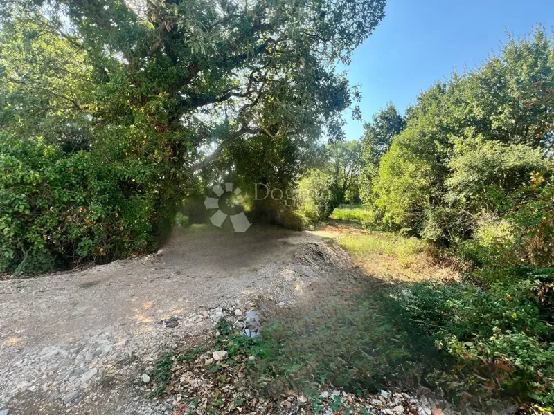 5043m2, prilika za investitore, samo 200 m od mora!