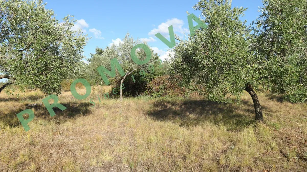 Buje- Kaštel  1290 m2 velika građevinska parcela orijentirana na južnu stranu