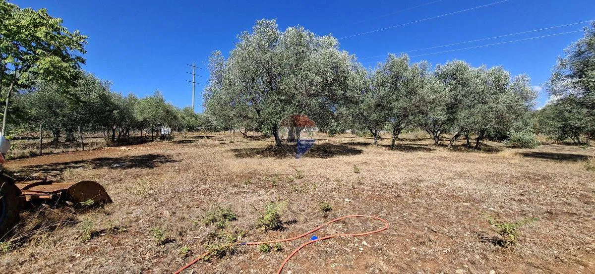 Istra, Kaštel-građevinska parcela
