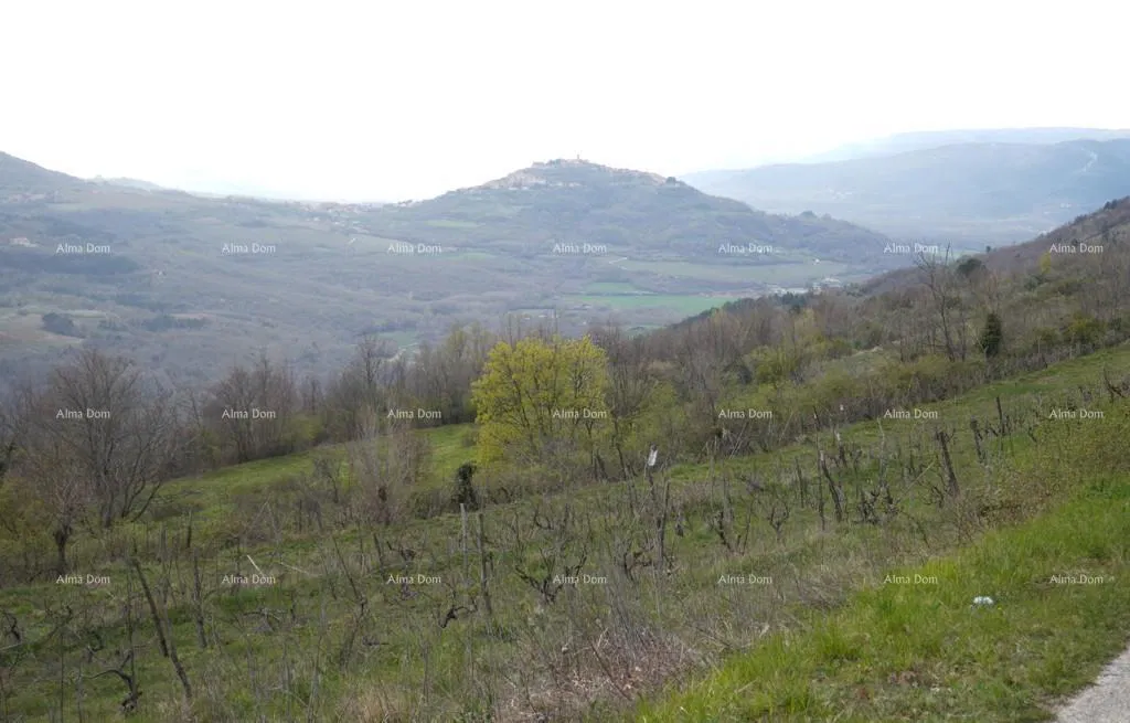 GRADBENIŠKO ZEMLJIŠČE S PANORAMSKIM POGLEDOM NA MOTOVUN – 3.059 m²