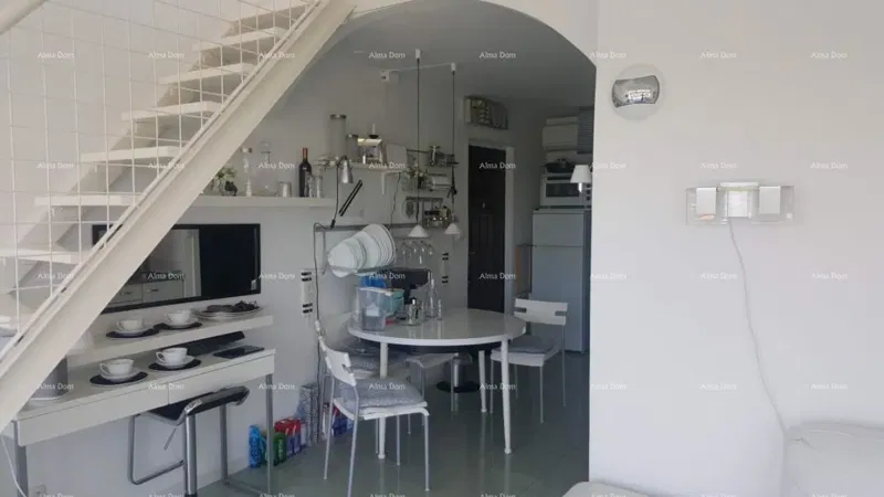 Apartment Novigrad – 3