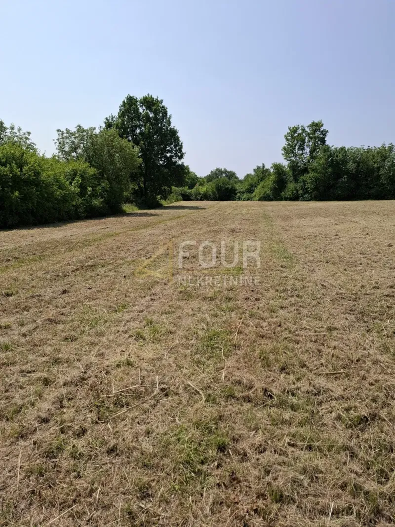 Istria, Baderna, agricultural land, 4,122m2 – 2