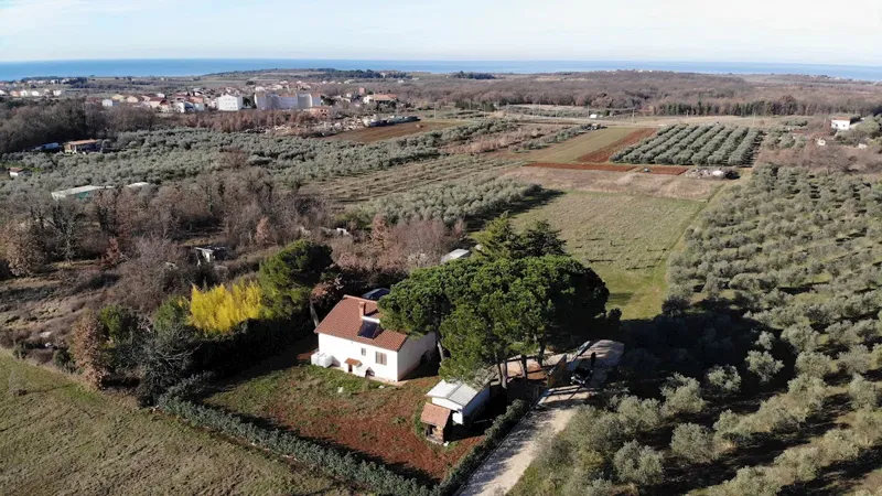 Kuća s 6.900 m² zemlje u zelenoj oazi kraj Novigrada