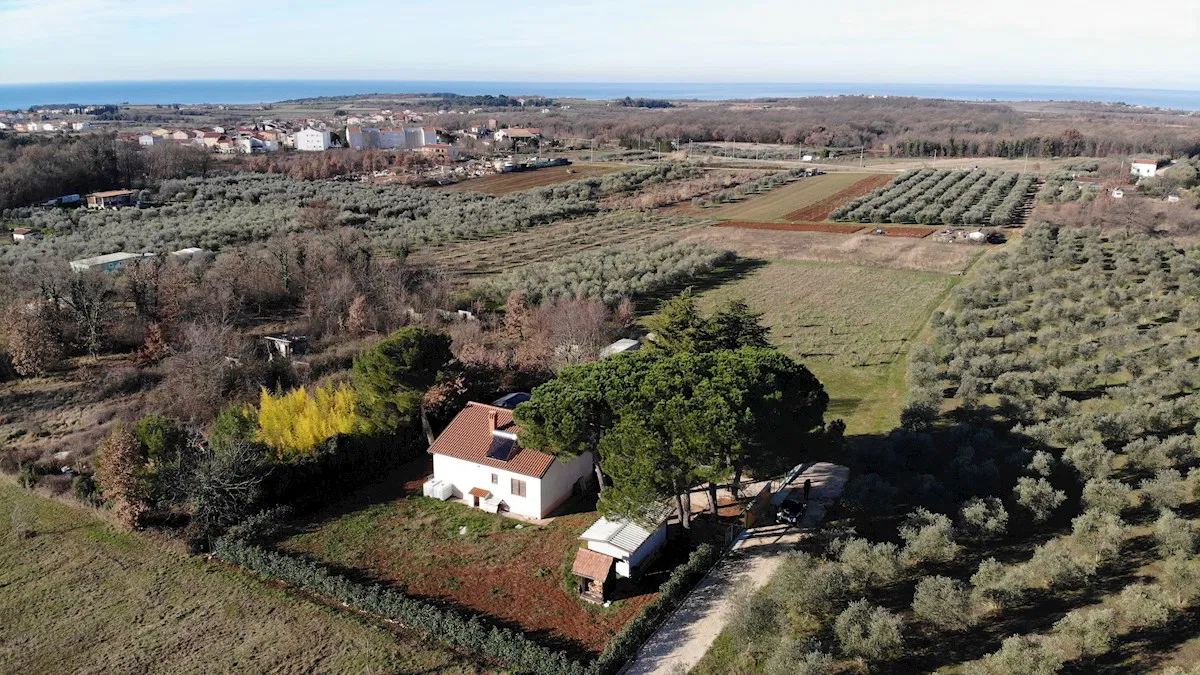 Hiša s 6.900 m² zemljišča v zeleni oazi pri Novigradu