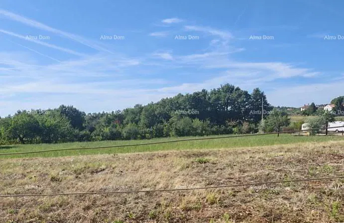 GRAĐEVINSKO ZEMLJIŠTE 2.920 m² U BLIZINI VIŠNJANA